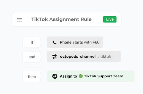 Assignment rules configuration for TikTok messages